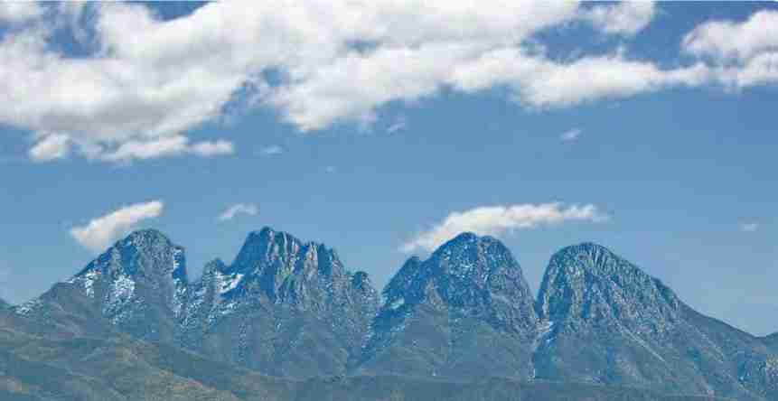 Regal Quartet Mountain Peaks